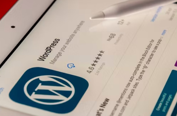 Wordpress Website Designer Cork